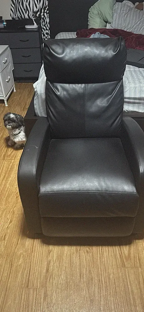 Indoor Armchair